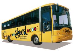 bus-edgard-transport